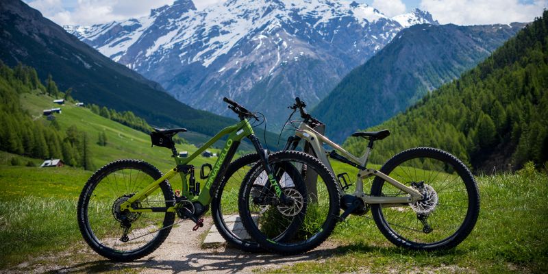 Revel Bikes: Competitive Pricing for High-Performance MTBs