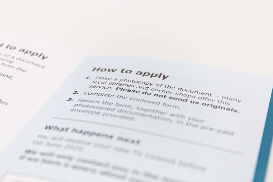 Navigating the Visa Application Process