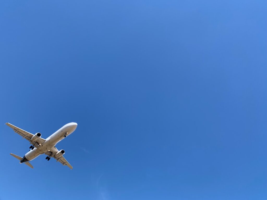 Photo Pet-friendly airlines