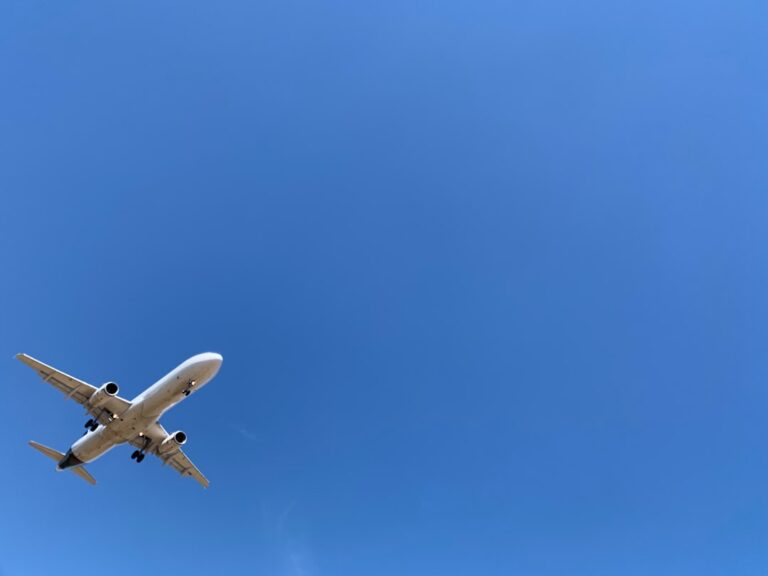 Photo Pet-friendly airlines