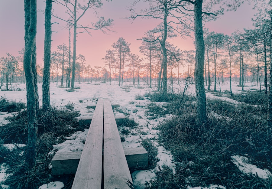 Soft Hiking
