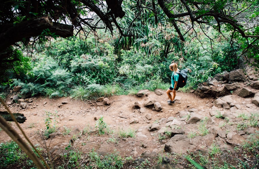 Off-Grid Travel
