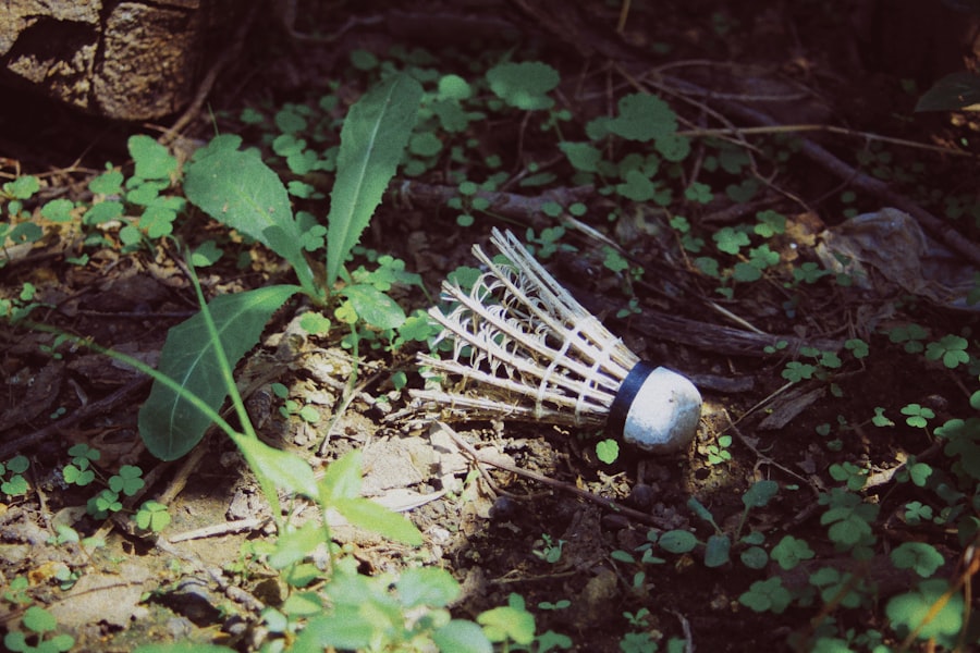 Eco-Glamping
