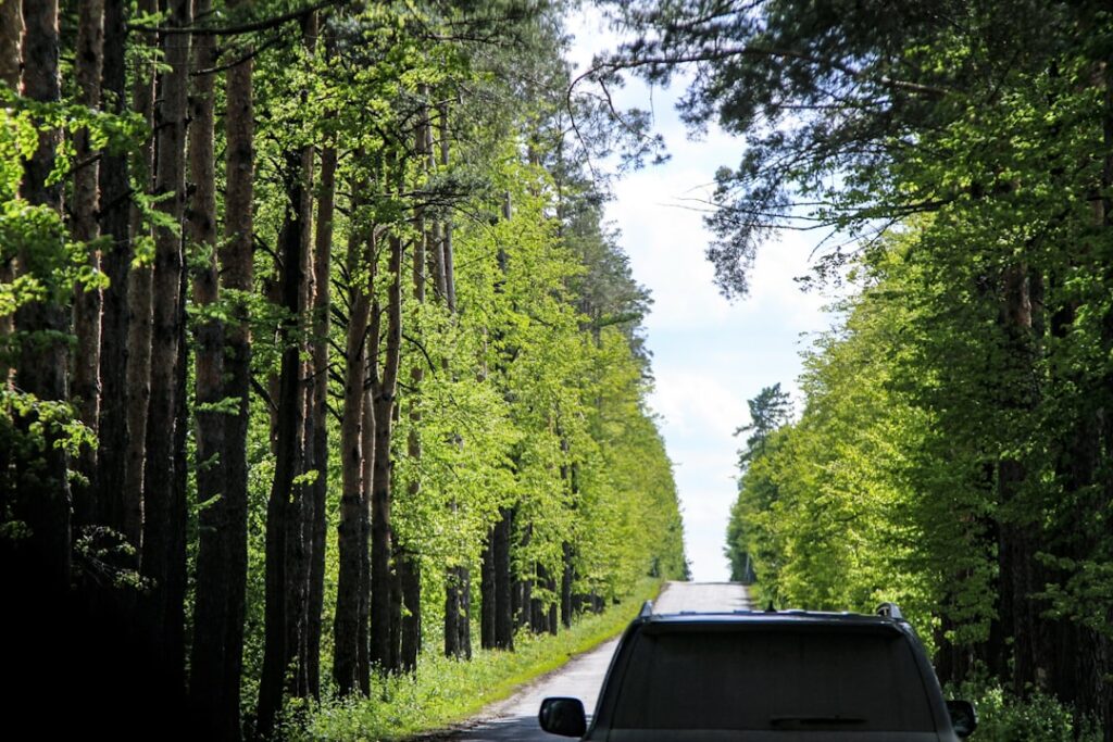 Photo Carbon Offset Travel
