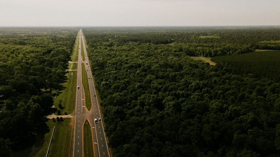 Photo Carbon Offset Travel
