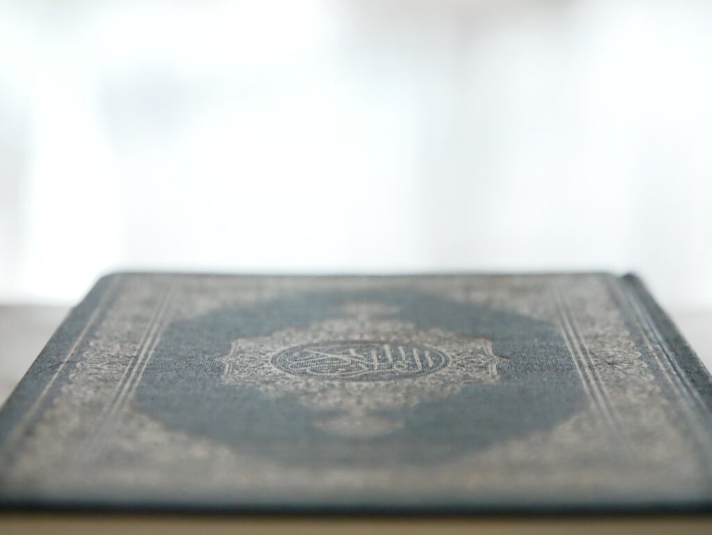 The Future of Travel: Vaccine Passport Implementation