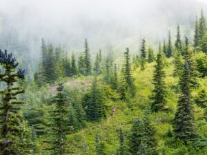 Photo Adventure Wellness