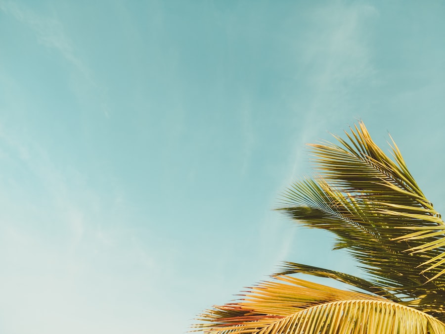 budget beach getaway

