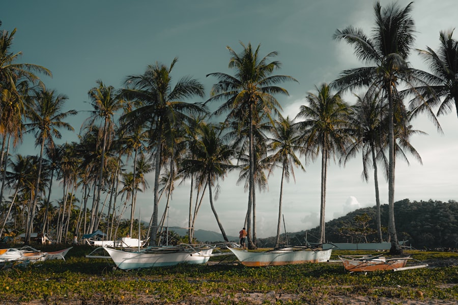 Photo palawan island hopping
