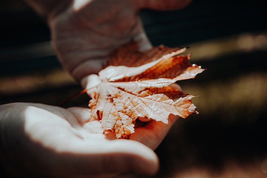 Photo crispy lechon slices
