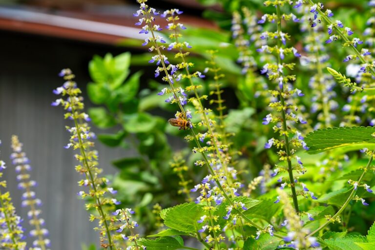 Photo vacation ideas