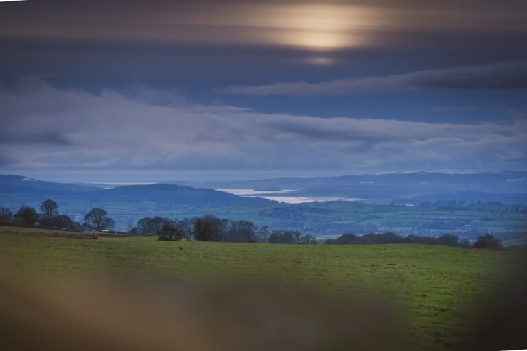 Photo ice cream shops
