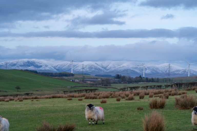 Photo ice cream shops