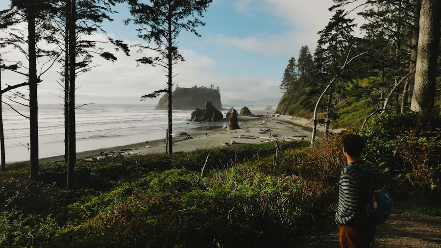 Beach vs Forest Trips