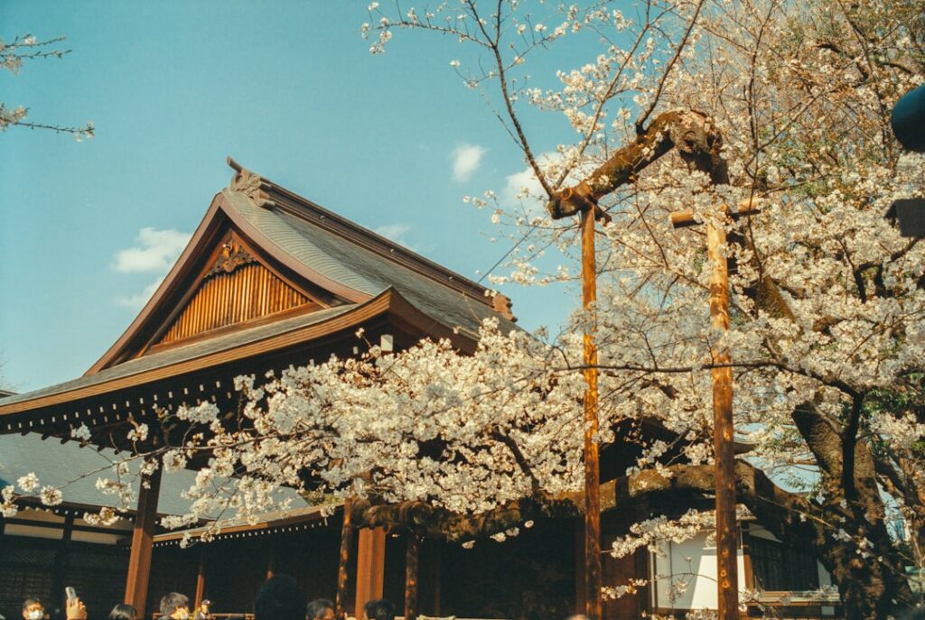 Exploring Nature: Top Trips for Summer, Rainy, and Dry Seasons