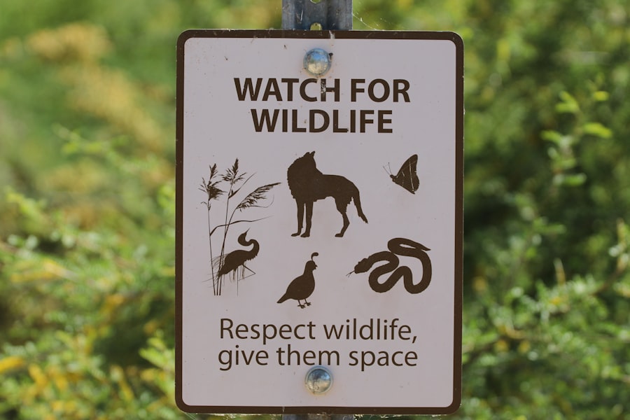 Photo Wildlife Encounters