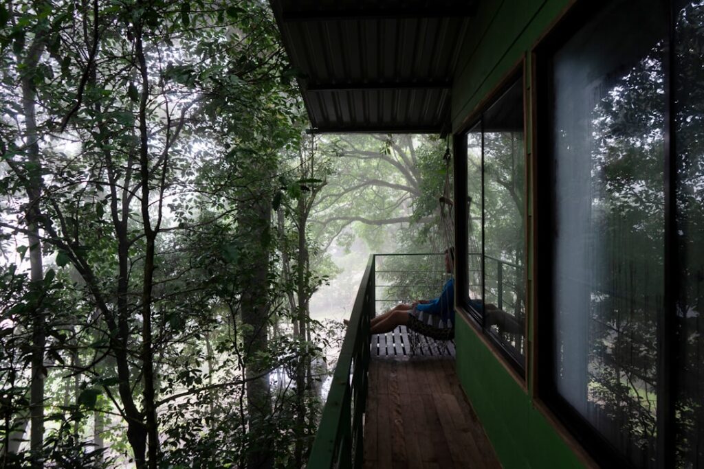 Wild Wellness: The Rise of Nature Retreats