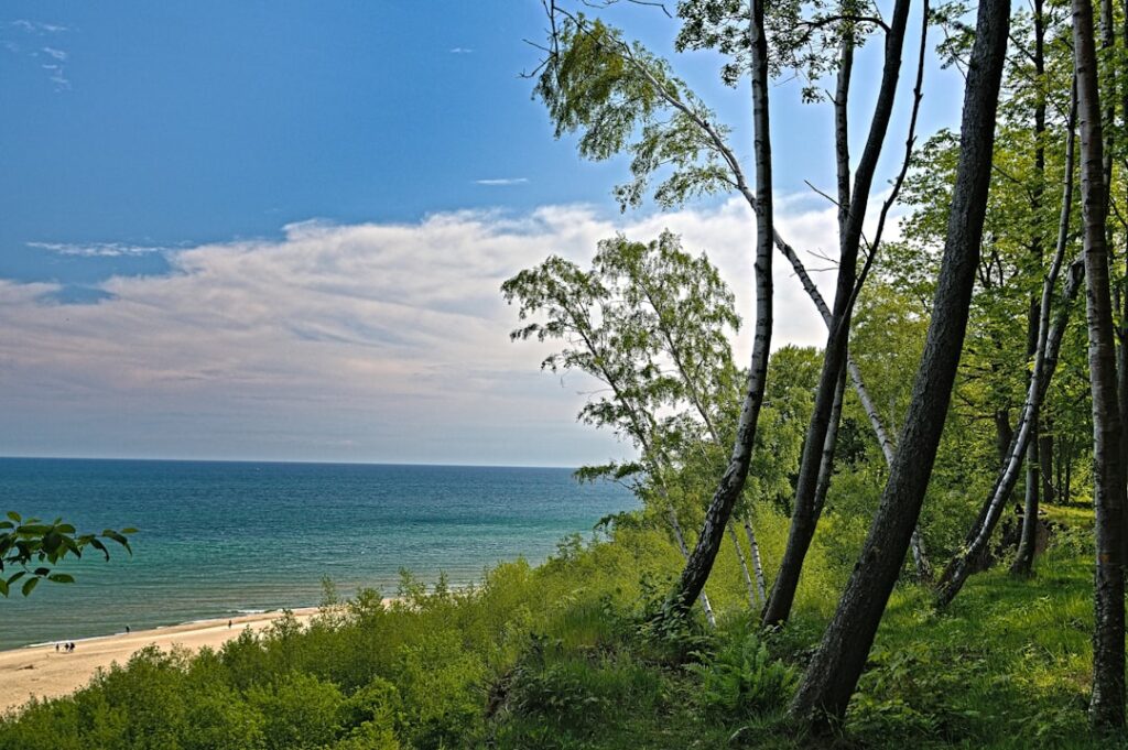 Beach vs Forest Trips: The Ultimate Relaxation Showdown