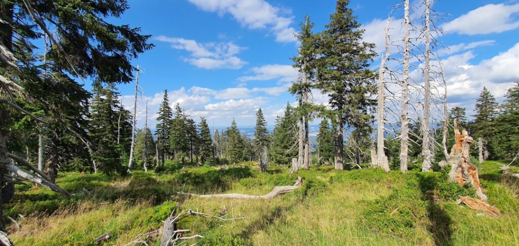 Top Trend: Mountain Getaways and High-Altitude Travel