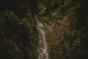Photo Waterfall Hunting