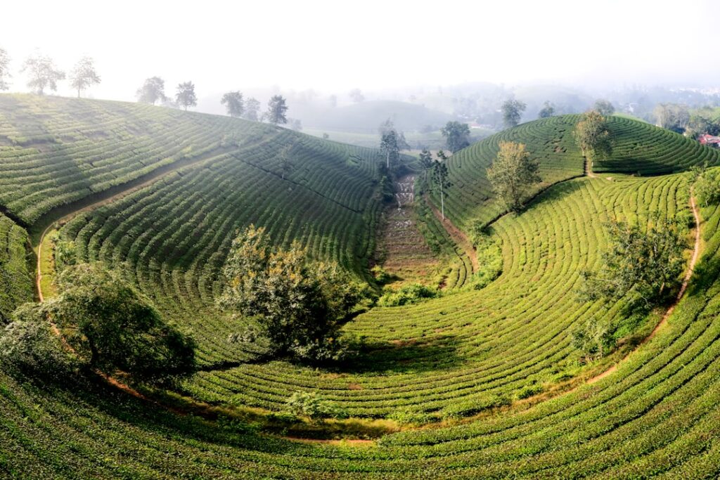 Photo Eco-Tourism Guide