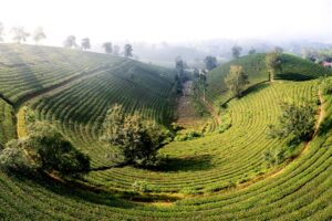 Photo Eco-Tourism Guide